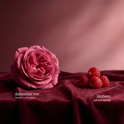 Velvet Rose