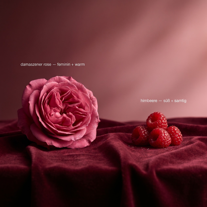 velvet rose